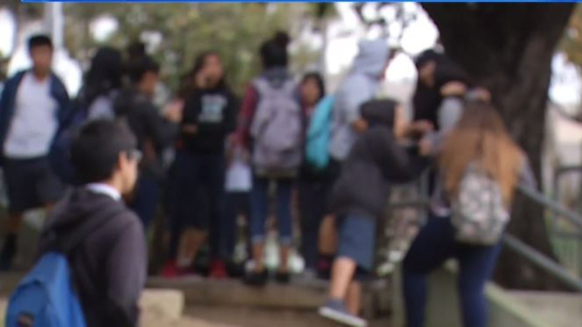 proponen eliminar vacaciones de verano en escuelas