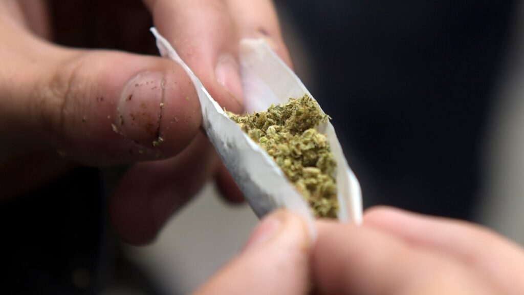 qué es, su historia y dónde es legal fumar marihuana en Estados Unidos