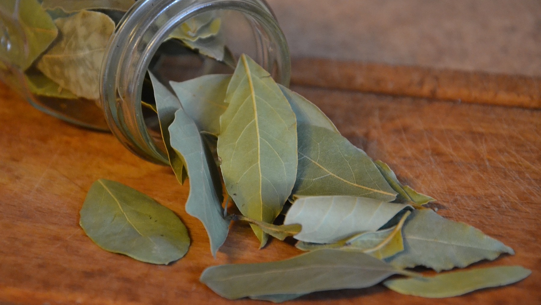¿Por qué todo el mundo está poniendo una hoja del laurel debajo de la almohada?