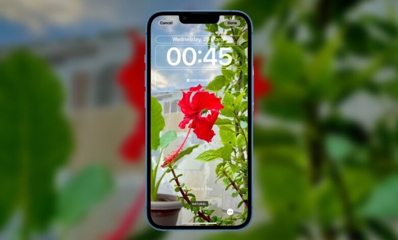 image of a red flower set as a lock screen wallpaper on an iPhone running iOS 16