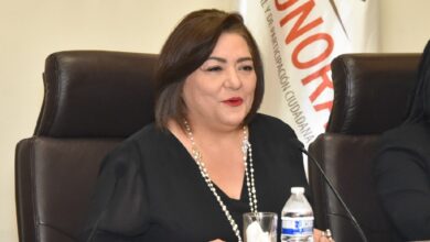 ¿Quién es Guadalupe Taddei, la primera presidenta del INE?