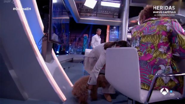 Tamara Falcó en 'El Hormiguero'. / Antena 3