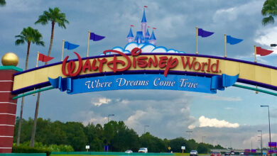 Patadas y puñetazos: tras violenta pelea, les prohiben la entrada a Disney World