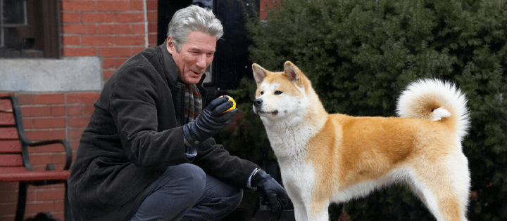 hachi a dogs tale mejores películas para ver en netflix antes de que se vayan a fines de mayo de 2023 hachi a dogs tale mejores películas para ver en netflix antes de que se vayan a fines de mayo de 2023