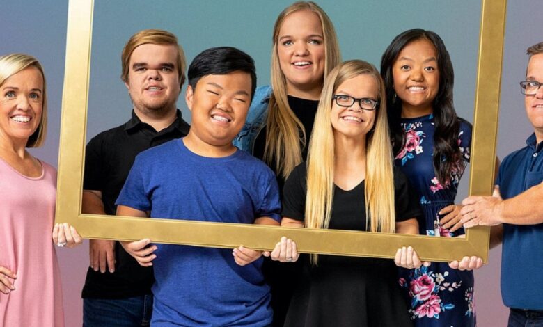 7 Little Johnstons