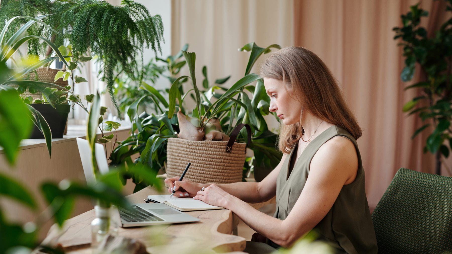 7 plantas que no necesitan tierra, no manchan y sobreviven sólo con agua