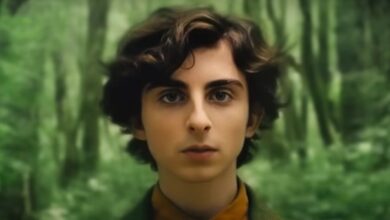 AI Lord of the Rings as a Wes Anderson movie with Timothee Chalamet as Frodo.