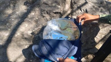 Abandonó su mochila al huir de militares y dejó más de 200 dosis de droga