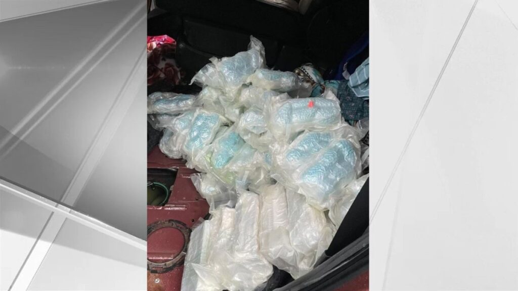 Autoridades hallan presuntas píldoras y polvo de fentanilo con valor de $5 millones en tanque de gasolina oculto