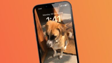 An example of iOS 16 Lock Screen Wallpaper showing the depth effect