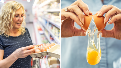 Cuáles son los mejores huevos para comprar