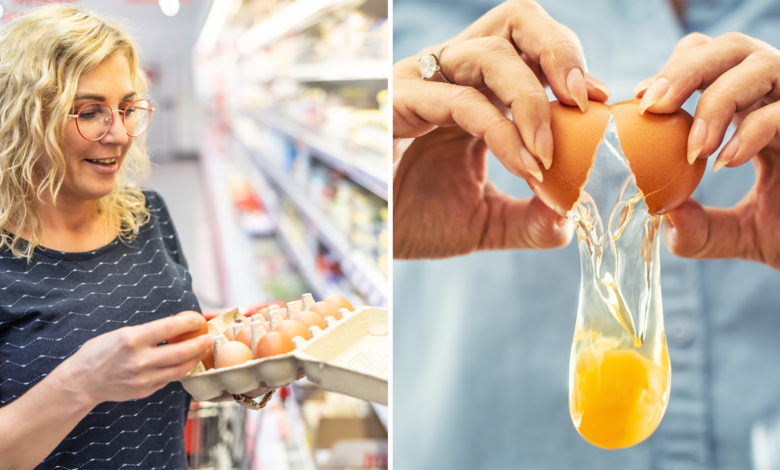 Cuáles son los mejores huevos para comprar