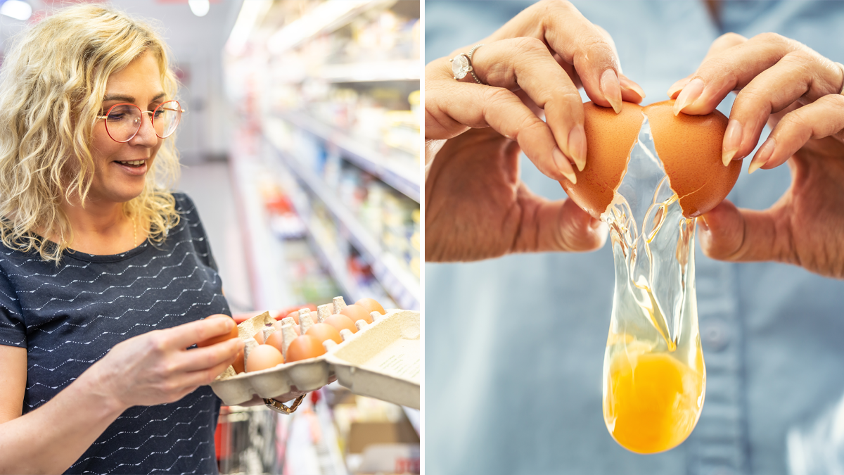 Cuáles son los mejores huevos para comprar