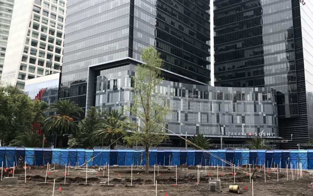 Detienen a hombre que vertió cemento en el nuevo ahuehuete de Reforma