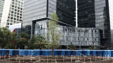 Detienen a hombre que vertió cemento en el nuevo ahuehuete de Reforma