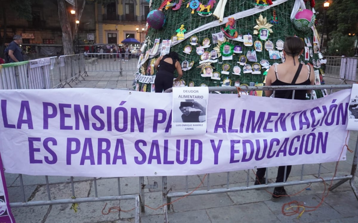 Deudores alimentarios no podrán ser candidatos a cargos públicos: DOF