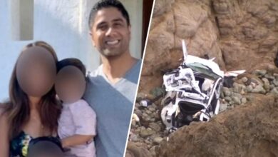 Dharmesh Patel acusado de conducir su Tesla hacia un acantilado lo hizo adrede