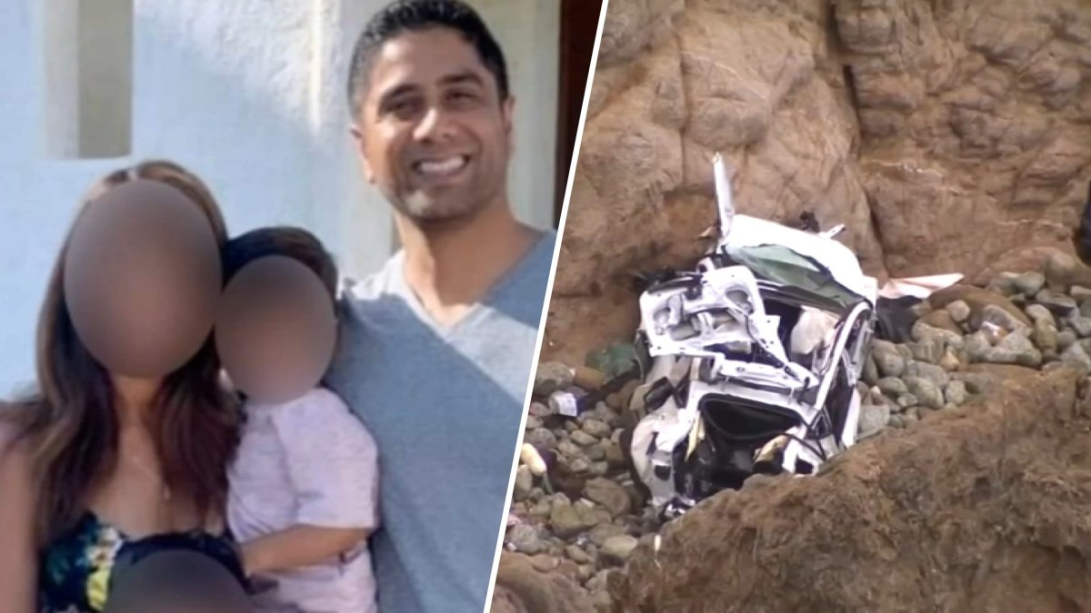 Dharmesh Patel acusado de conducir su Tesla hacia un acantilado lo hizo adrede