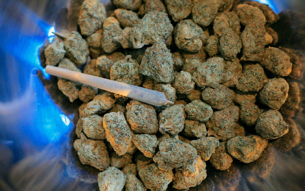 EU reporta récord de trabajadores 'pachecos'