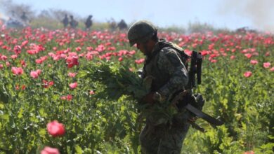 El Gobierno ha mantenido la 'guerra contra el narco': Data Cívica