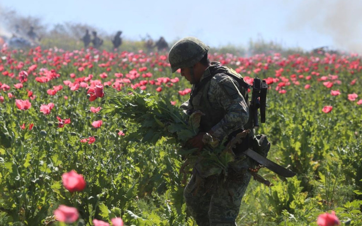 El Gobierno ha mantenido la ‘guerra contra el narco’: Data Cívica