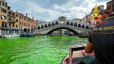 El agua del Gran Canal de Venecia se tiñe de un misterioso verde fosforescente