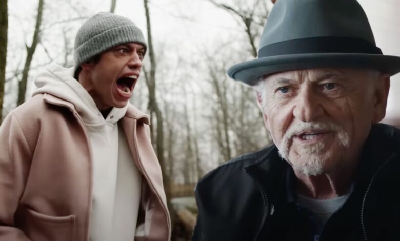Pete Davdison Joe Pesci Bupkis