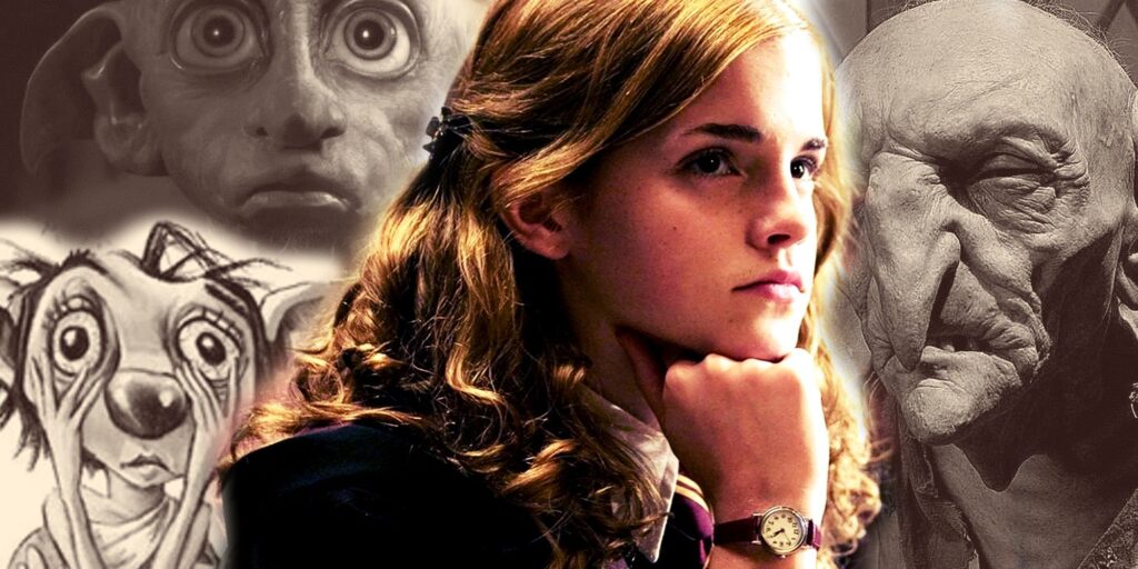 Harry-Potter-Hermione-House-Elves-SPEW