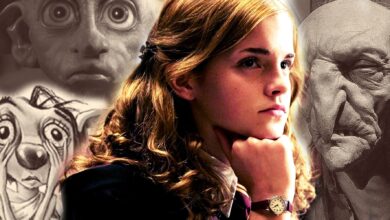 Harry-Potter-Hermione-House-Elves-SPEW