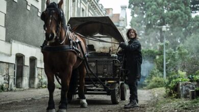 Daryl with a horse and carriage in France