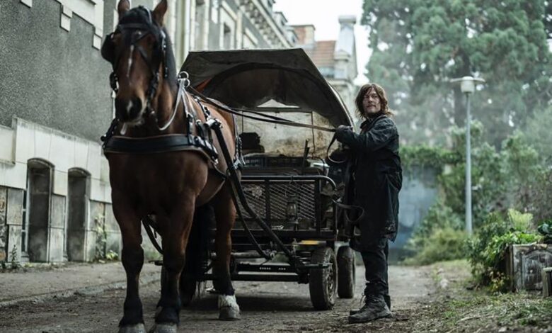 Daryl with a horse and carriage in France