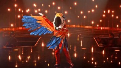 The Masked Singer's Macaw Posing On Stage