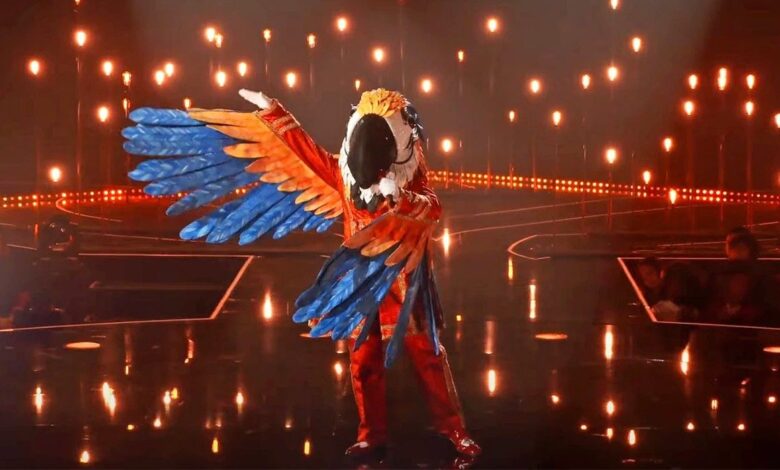 The Masked Singer's Macaw Posing On Stage