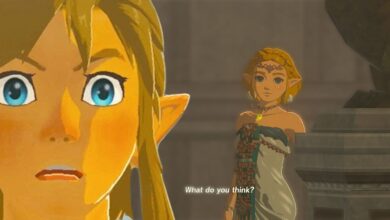 Tears of the Kingdom shot of Link looking surprised and Zelda in the background.