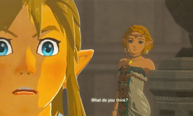 Tears of the Kingdom shot of Link looking surprised and Zelda in the background.