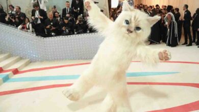 Gato de diseñador y tres embarazos: a quién hizo homenaje la elegante Met Gala