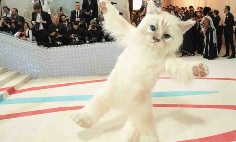 Gato de diseñador y tres embarazos: a quién hizo homenaje la elegante Met Gala