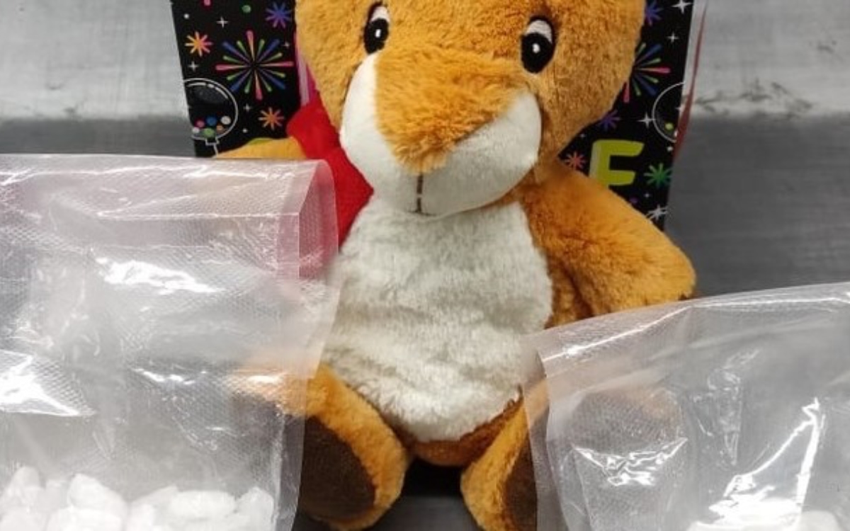 Guardia Nacional asegura 'narco osito' de peluche con cristal en Querétaro