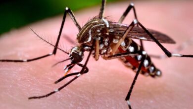 Hospitales en Perú están al borde del colapso por casos de dengue