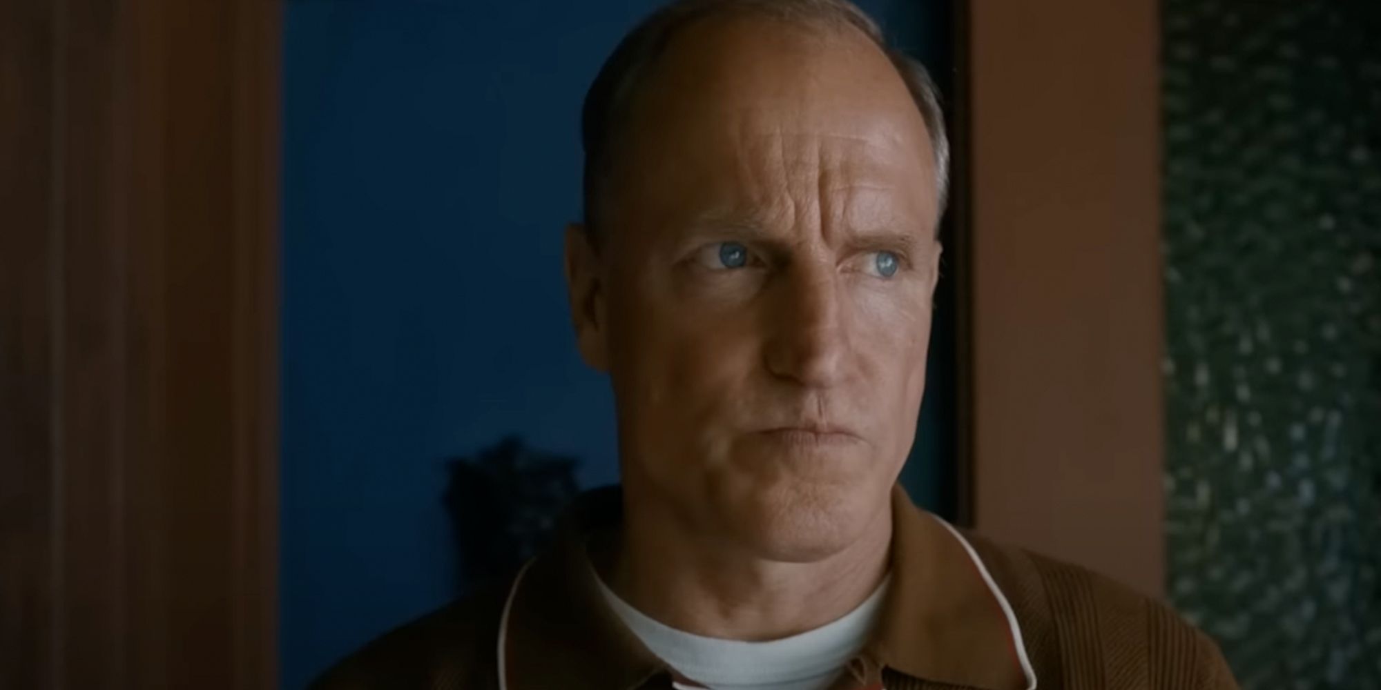 Woody Harrelson White House Plumbers