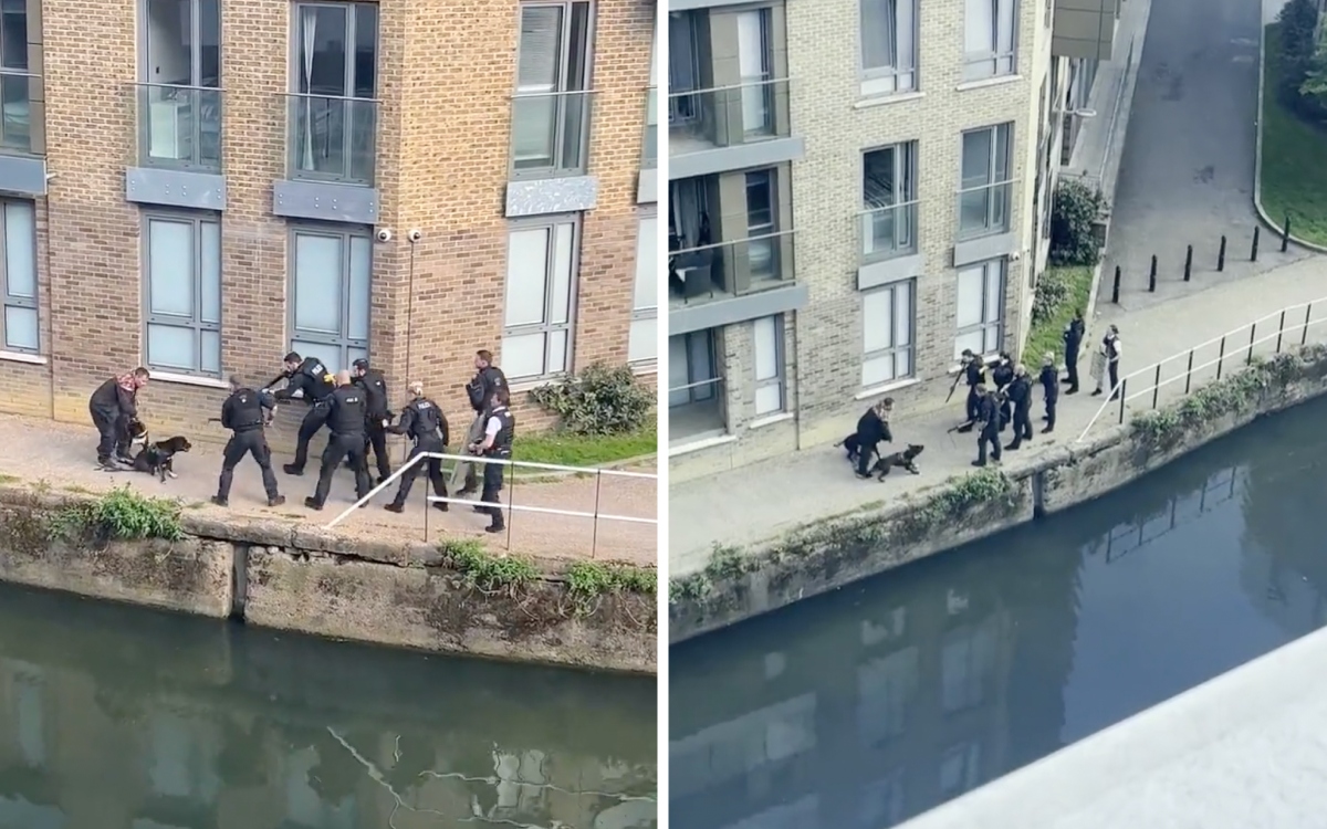 Indigna a londinenses muerte de dos perros a manos de la Policía