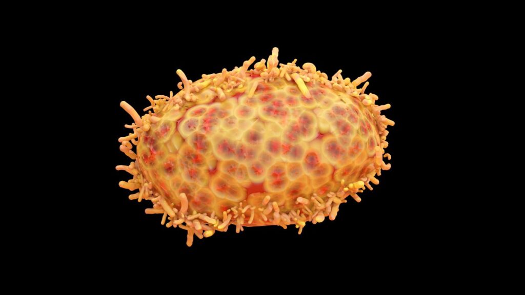 La OMS declara el final de la emergencia mundial por la viruela del mono