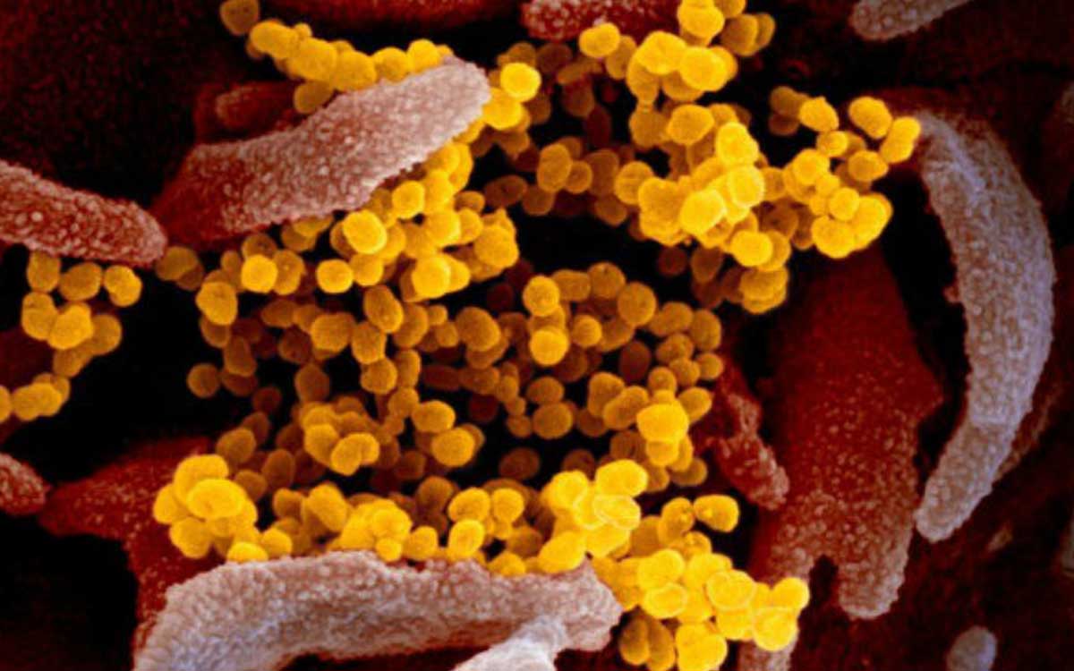 La OMS lanza una red mundial para detectar y prevenir amenazas de enfermedades infecciosas