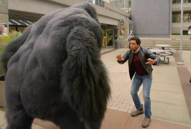 La extraña escena de Legends of Tomorrow se vuelve viral tras el final oficial del Arrowverse