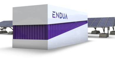 One of Endua