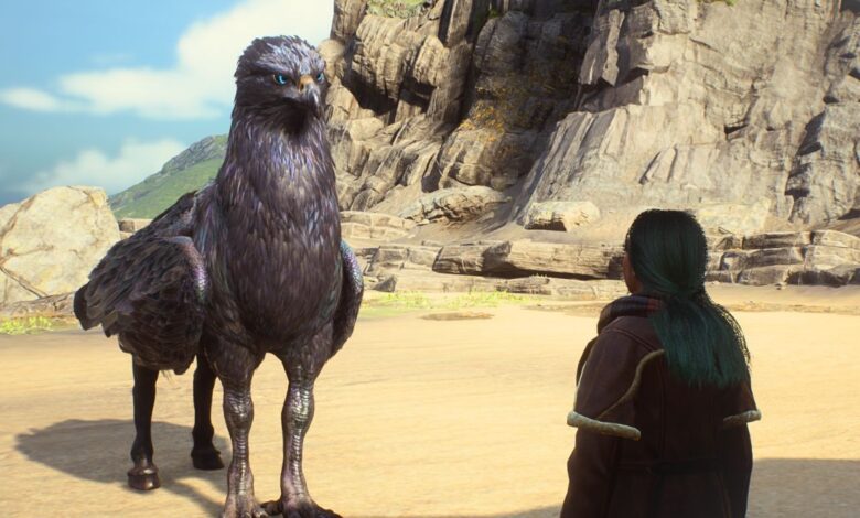 A player standing on the Beach Vivarium as a black Hippogriff looks at them in Hogwarts Legacy.