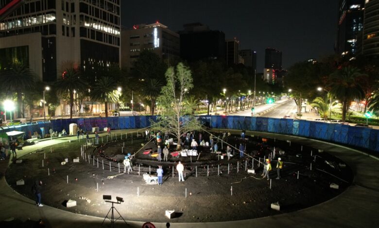 Llega nuevo ahuehuete a glorieta en Paseo de la Reforma