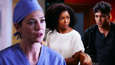 Ellen Pompeo as Meredith Grey in Grey's Anatomy season 2 episode 5, Alexis Floyd as Simone Griffith and Niko Terho as Lucas Adams in Grey's Anatomy season 19 episode 18