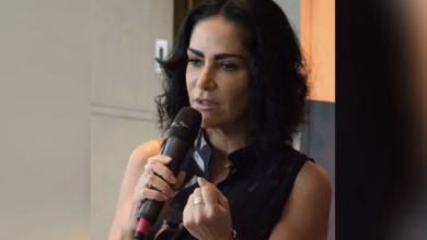 Lydia Cacho: ataques a la prensa son "sutiles y otros más evidentes"