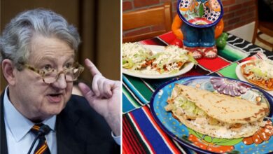 'México estaría comiendo comida para gato sin EU', afirma senador republicano